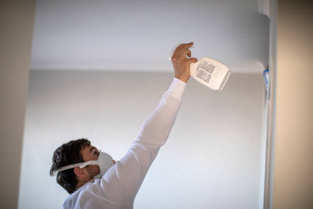 Trusted Allendale, MI Mold Removal Experts