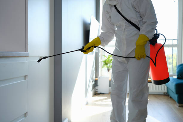 Best Toxic Mold Removal  in Allendale, MI