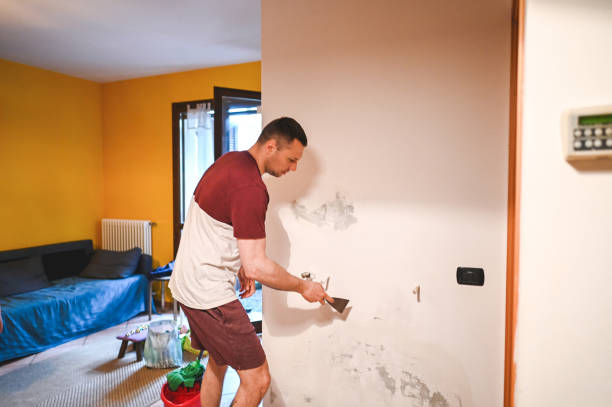Best Black Mold Removal  in Allendale, MI